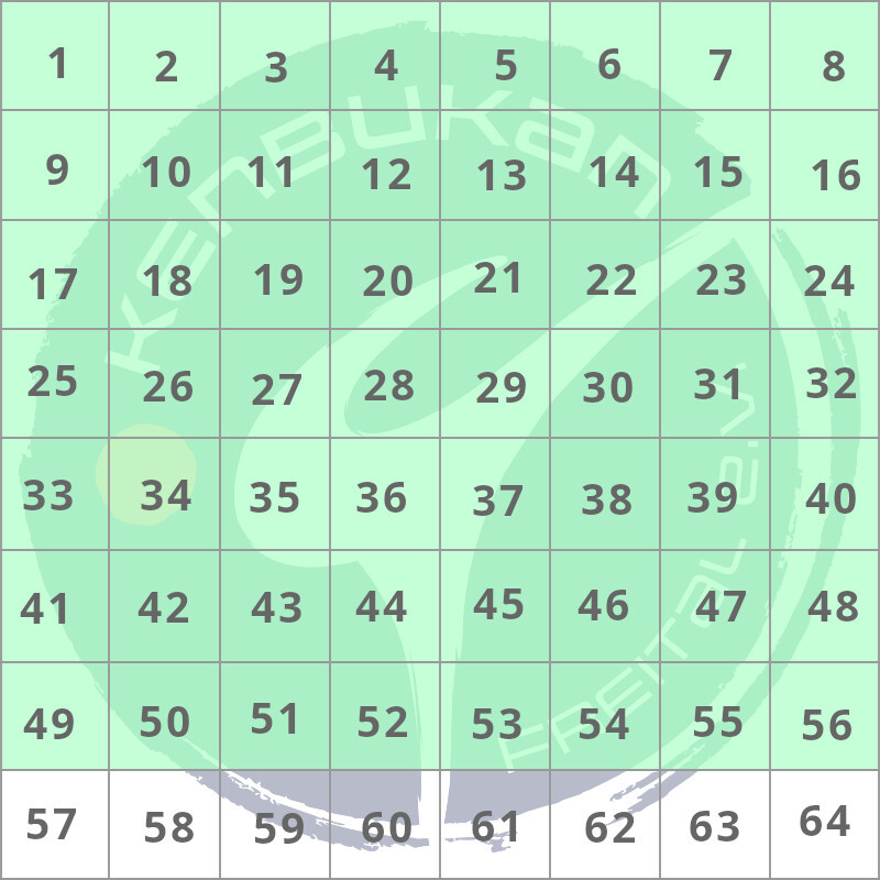 Mattenpatenschaft Eine Grafik mit dem Logo des Karatevereins im Hintergrund und 64 Flelder mit Ziffern von 1 bis 64, 1-46 sind hellgrün
