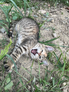 lilly-lachen-hof.jpg