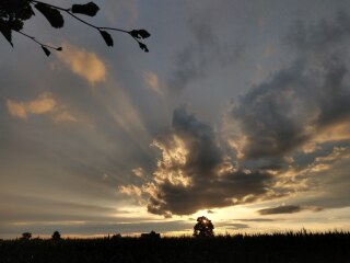 photo/779c62bb-37dd-4dd9-a18a-a37827666da0-3