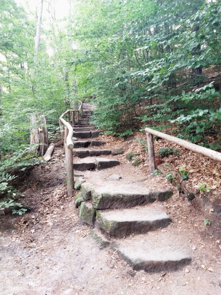 Wanderweg zum Lilienstein hoch, in der sächsischen Schweiz, Steintreppe mit Holzgeländer, viele grüne Bäume 